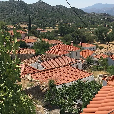 Lillian's Traditional House Дом отдыха Кипарисия